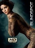 Blindspot Temporada 4 [720p]